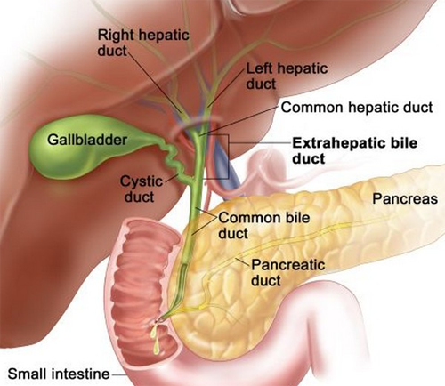 Gallbladder surgery in surat