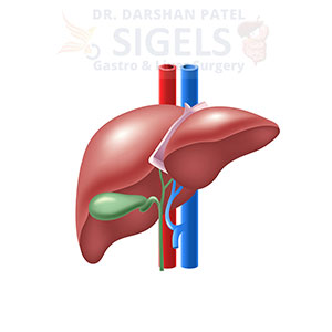 Liver surgeon, Best Liver Doctor in Surat