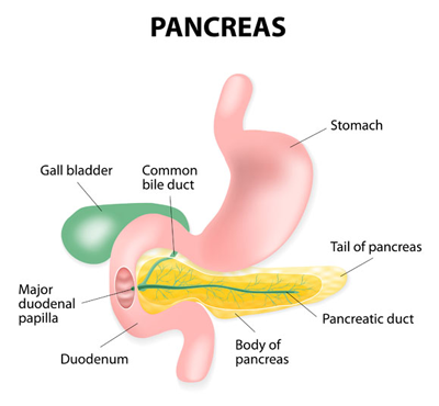 surgery for chronic pancreatitis