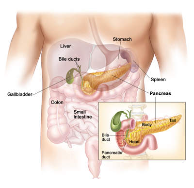 Whipple Surgery for Pancreatic Cancer in Surat