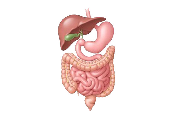 best gastroenterologist doctor in surat